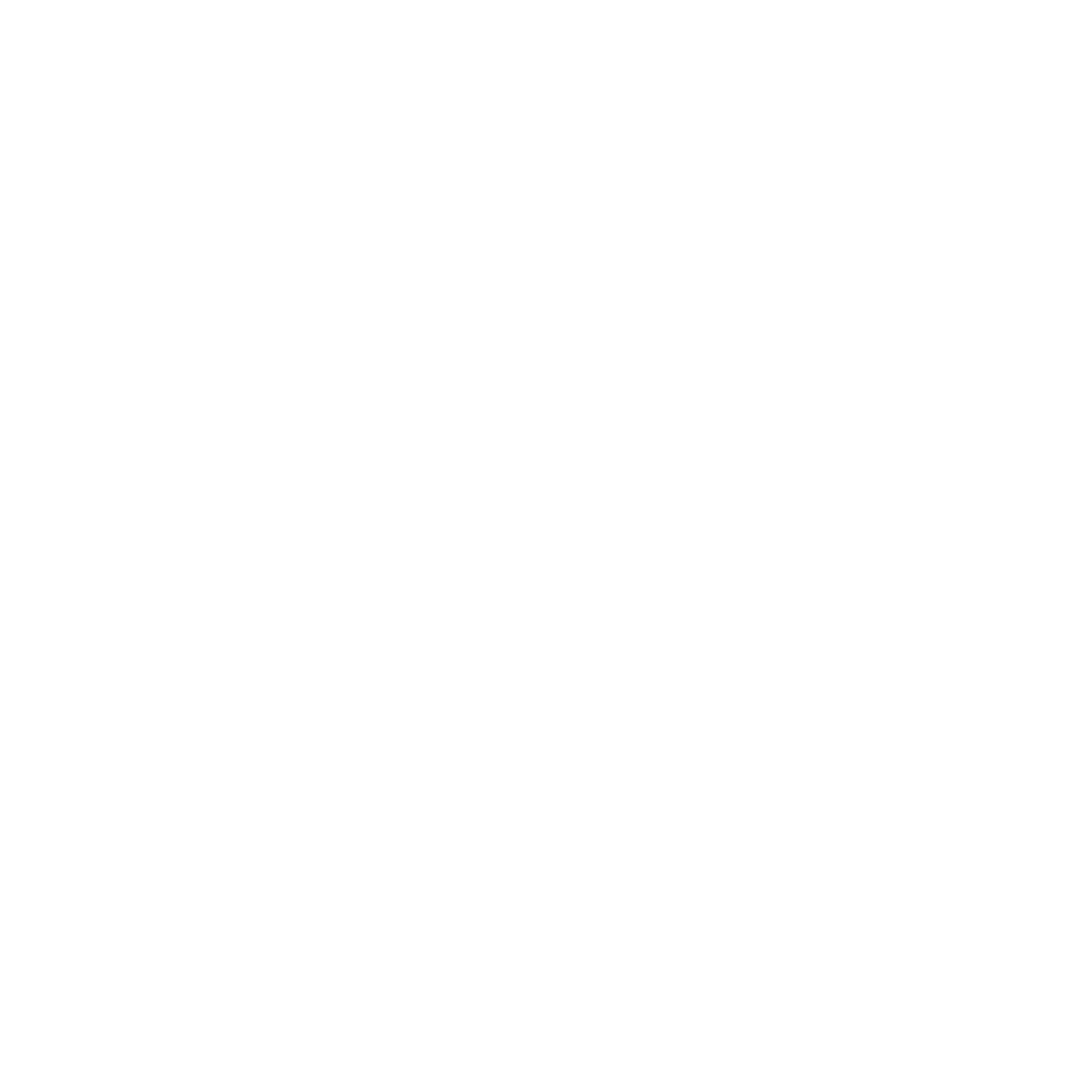 Premium Car Wash